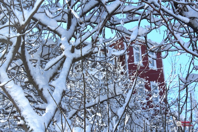 Kar yağışının ardından yeni günü güneşle karşılayan İnebolu'da aşı boyalı evlerin güzelliğiyle kartpostallık görüntüler oluştu.