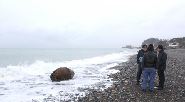 Kıyıya Vuran Gemi Şamandırası Bomba Sanıldı