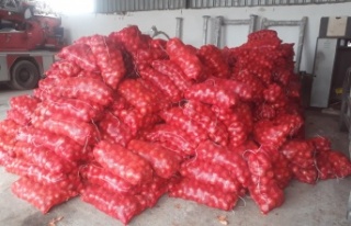 Ücretsiz 15 ton soğan dağıtıldı