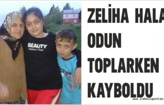 Zeliha Kara Kayboldu